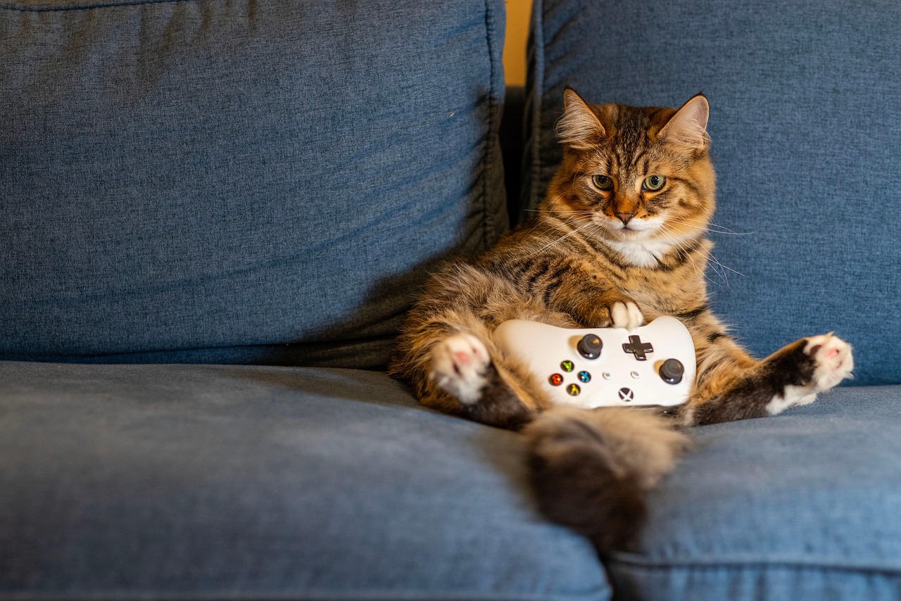 Baccarat – Trusted Online Platforms for Safe Gameplay